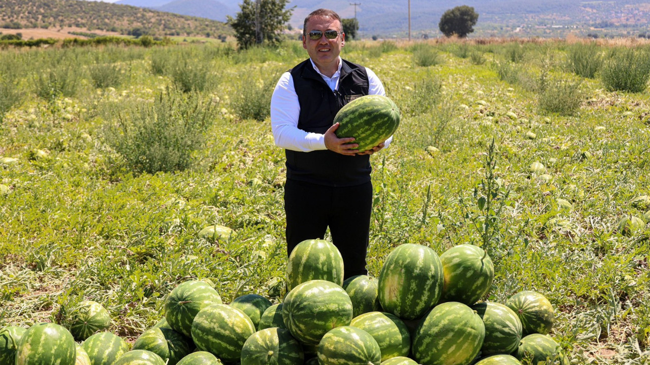 Bilecik’te 10 bin dekar alanda yıllık 62 bin ton karpuz üretiliyor