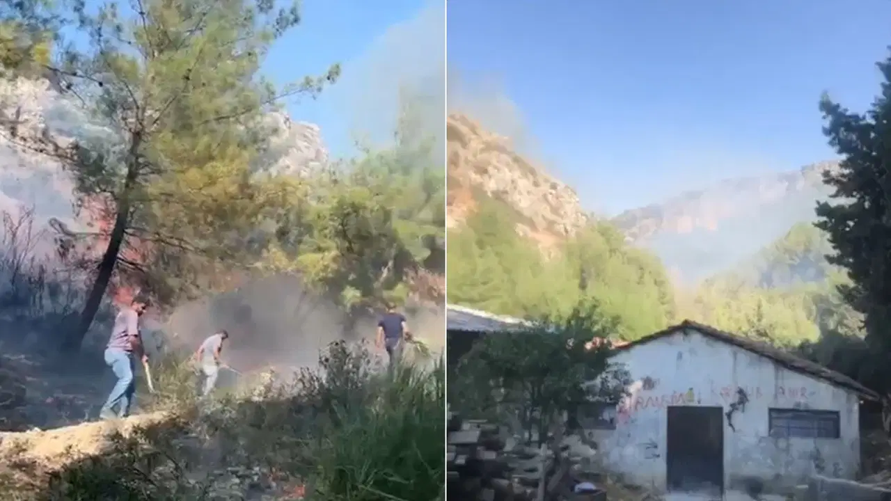 Hatay’da orman yangını: Ekipler müdahale ediyor